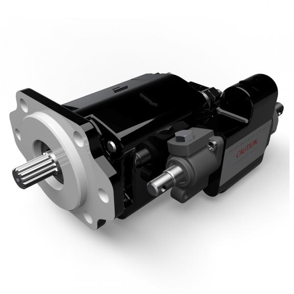 SDV20 1P7S 1DL Original SDV series Dension Vane pump Original import #1 image